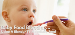 The Importance of Having Your Own Baby Food Blenders